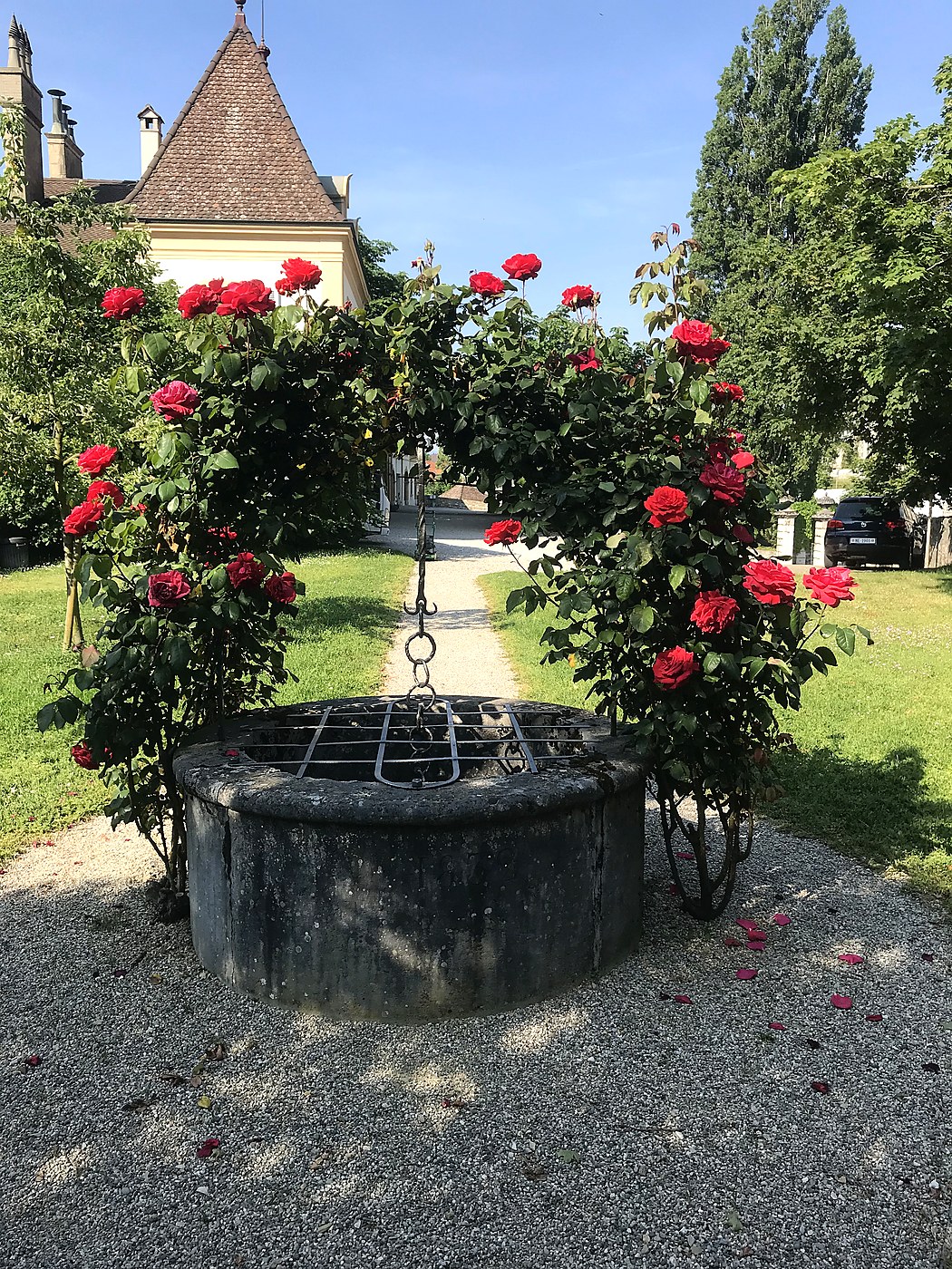 Aménagement extérieur réalisé par Brugère Jardin Sàrl